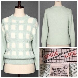 Vintage 80s Acrylic and Ramie knit mint green sweater. Says L, fits like M